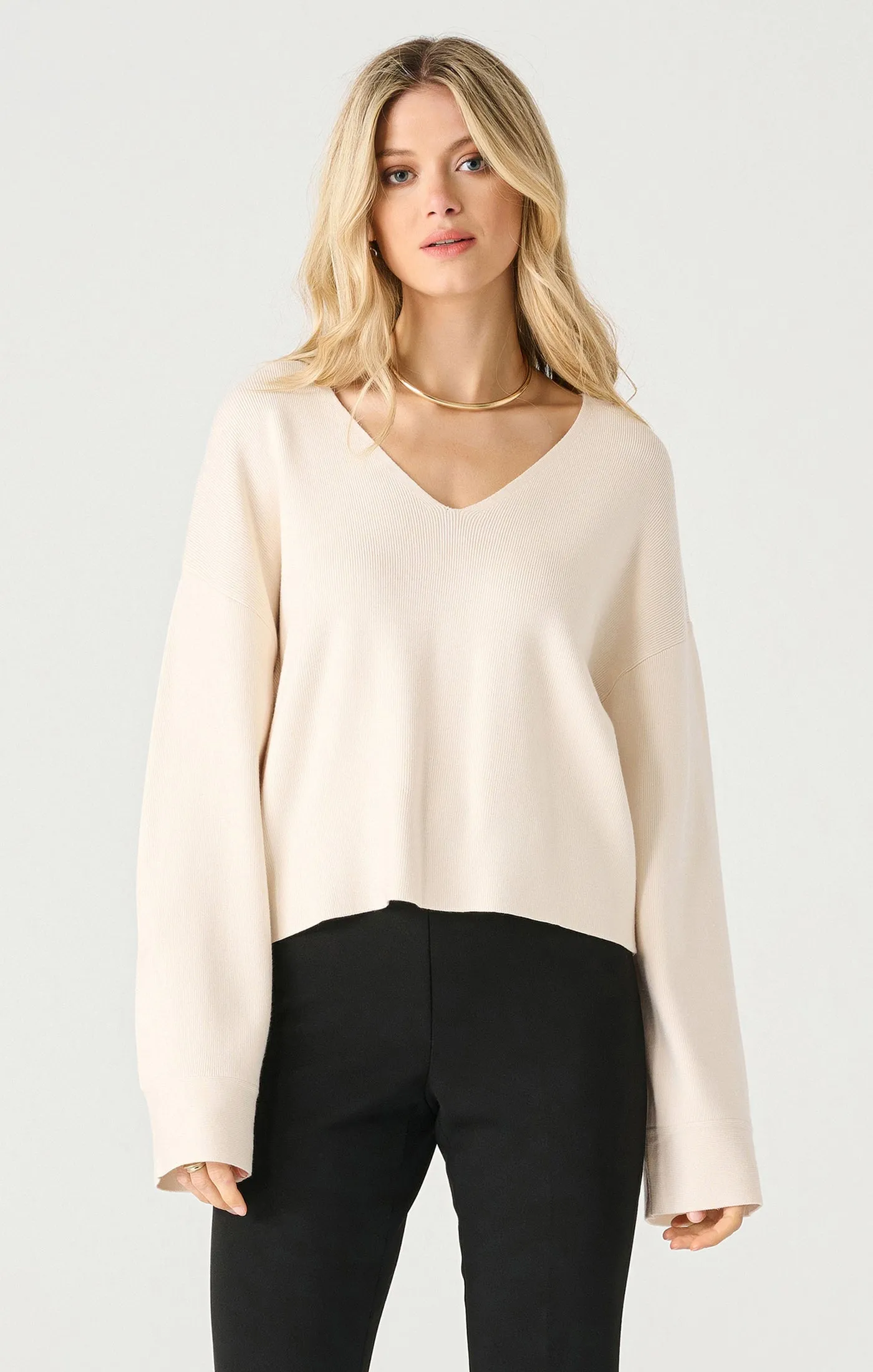 Long Sleeve V Neck Sweater (Dex)